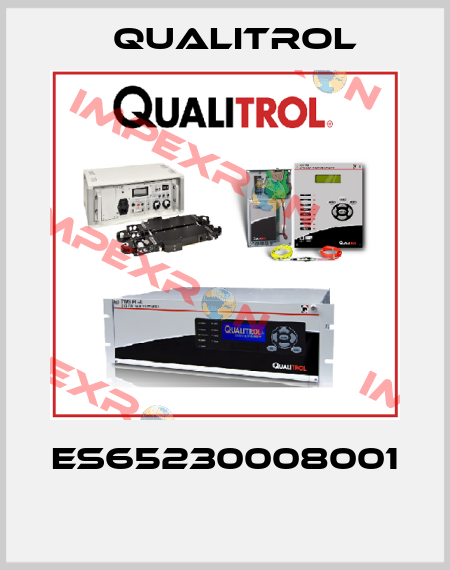 ES65230008001   Qualitrol