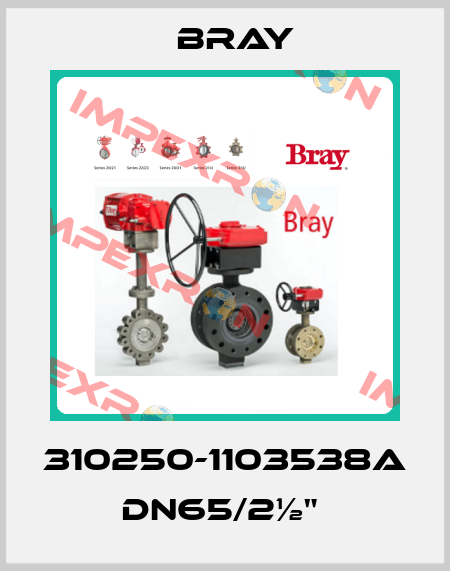 310250-1103538A DN65/2½"  Bray