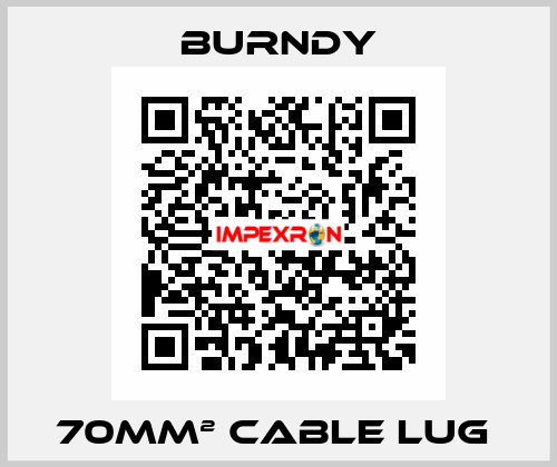 70mm² cable lug  Burndy