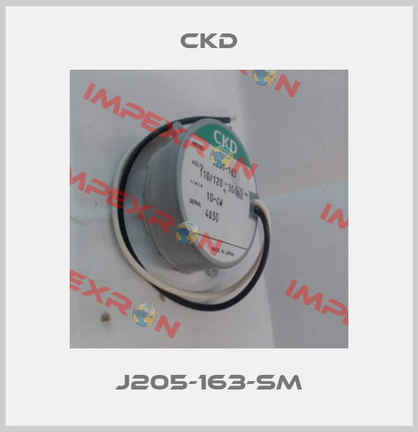 J205-163-SM Ckd