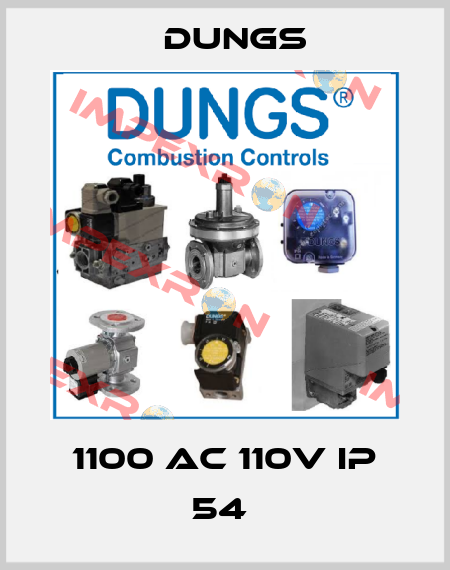 1100 AC 110V IP 54  Dungs