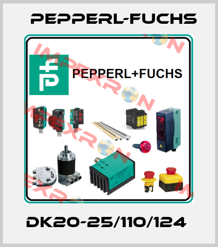 DK20-25/110/124  Pepperl-Fuchs