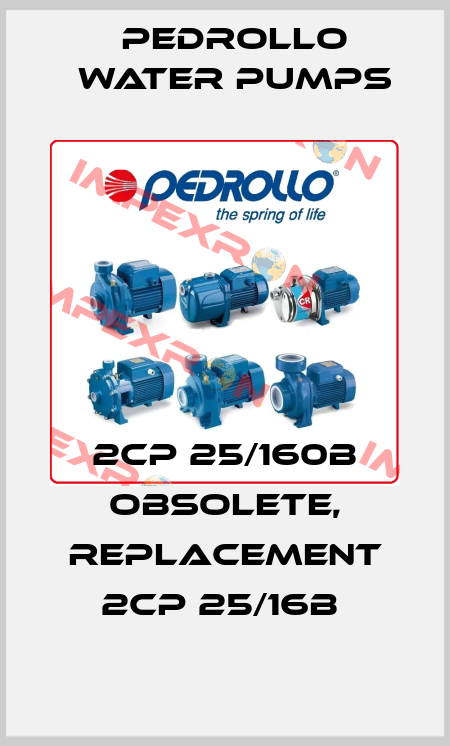 2CP 25/160B obsolete, replacement 2CP 25/16B  Pedrollo Water Pumps