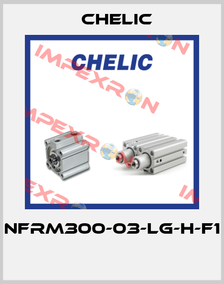 NFRM300-03-LG-H-F1  Chelic