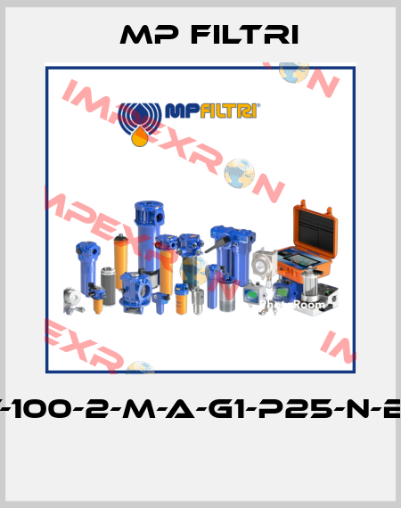 MPT-100-2-M-A-G1-P25-N-B-P01  MP Filtri
