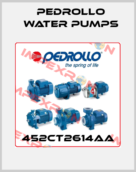 452CT2614AA Pedrollo Water Pumps