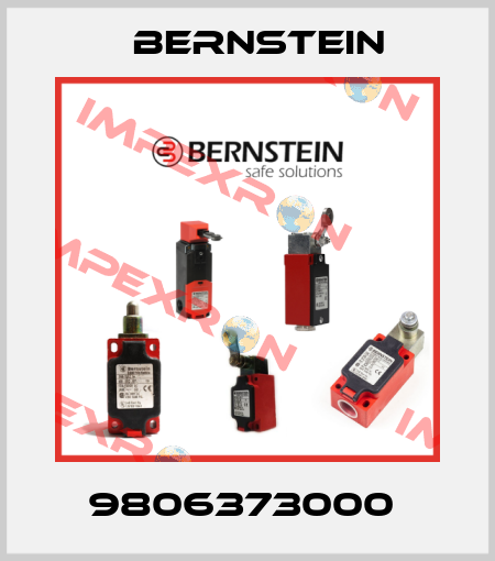 9806373000  Bernstein