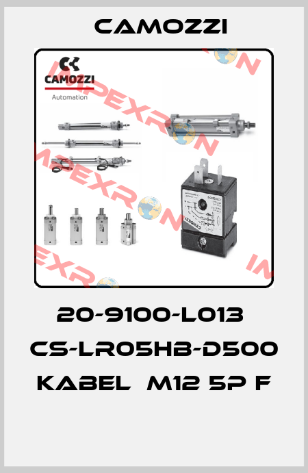 20-9100-L013  CS-LR05HB-D500 KABEL  M12 5P F  Camozzi