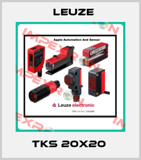 TKS 20x20  Leuze