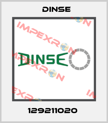 129211020  Dinse