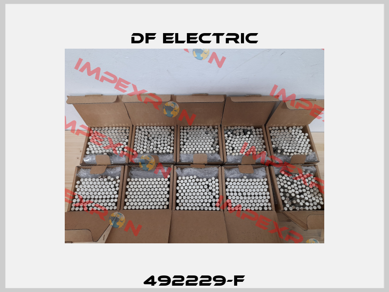 492229-F DF Electric