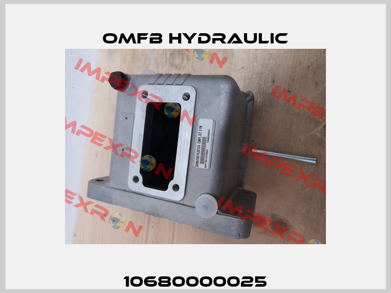 10680000025 OMFB Hydraulic