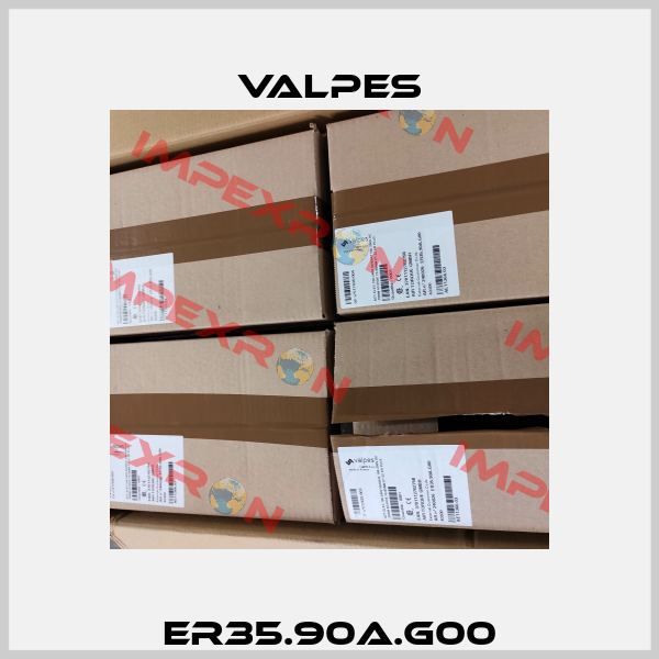 ER35.90A.G00 Valpes