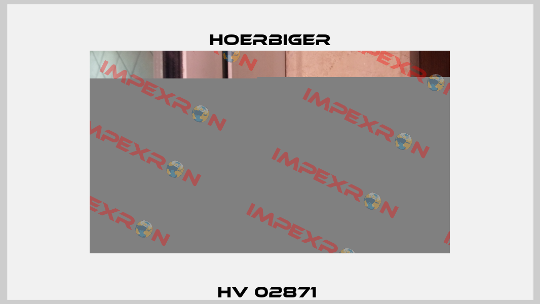 HV 02871  Hoerbiger