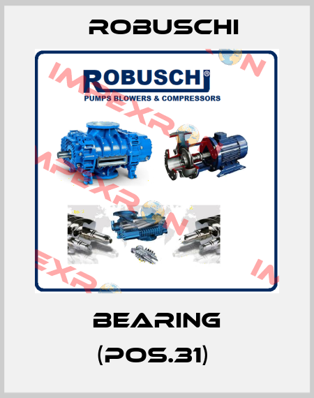 Bearing (Pos.31)  Robuschi