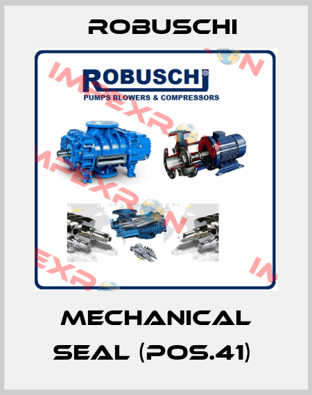Mechanical seal (Pos.41)  Robuschi