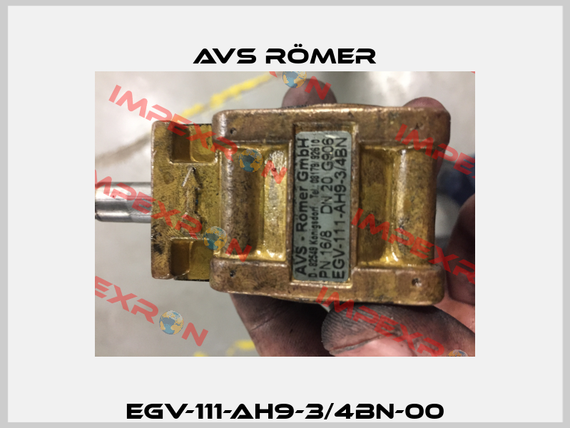 EGV-111-AH9-3/4BN-00 Avs Römer