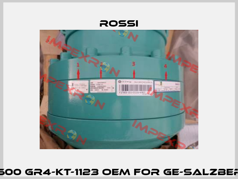 RES 600 GR4-KT-1123 OEM for GE-Salzbergen  Rossi