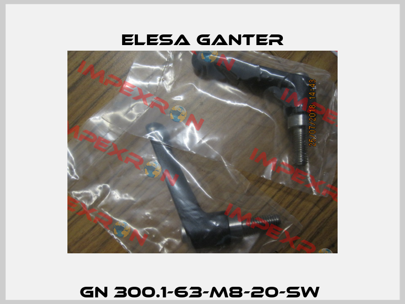 GN 300.1-63-M8-20-SW  Elesa Ganter