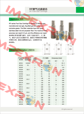 G2.0 Filtering Element Fiorentini