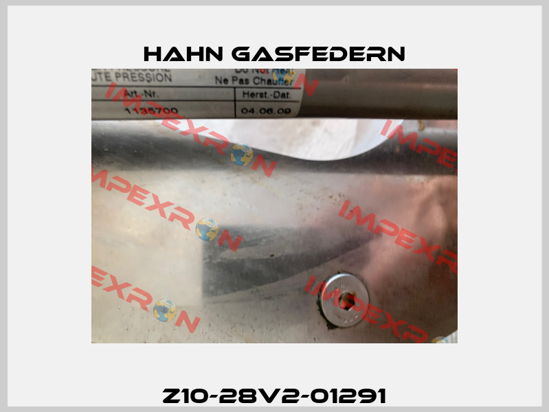 Z10-28V2-01291 Hahn Gasfedern