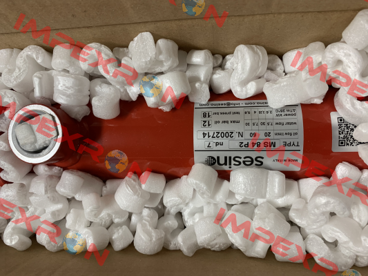 4204-8402G Sesino