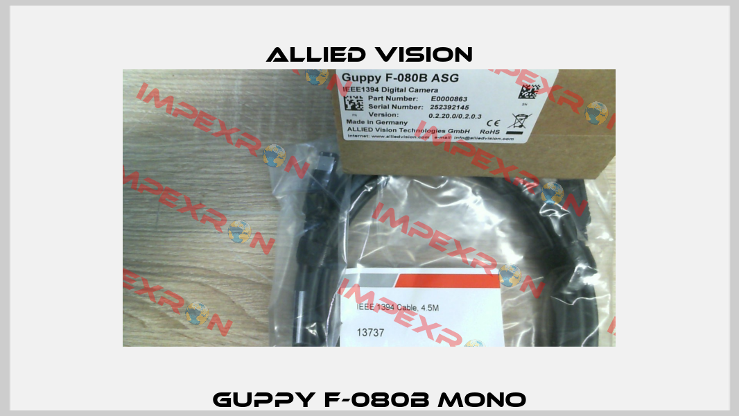 Guppy F-080B mono Allied vision