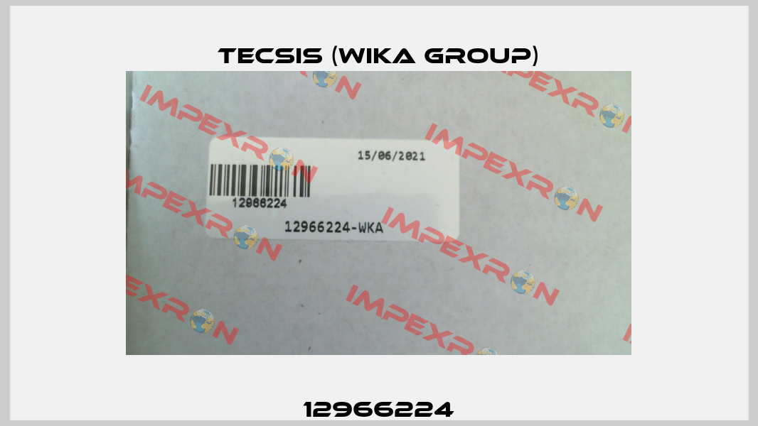 12966224 Tecsis (WIKA Group)