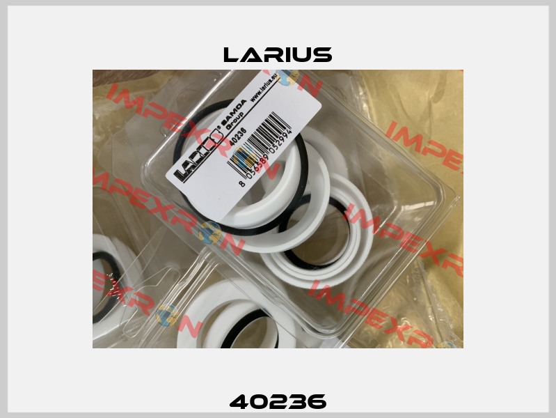 40236 Larius