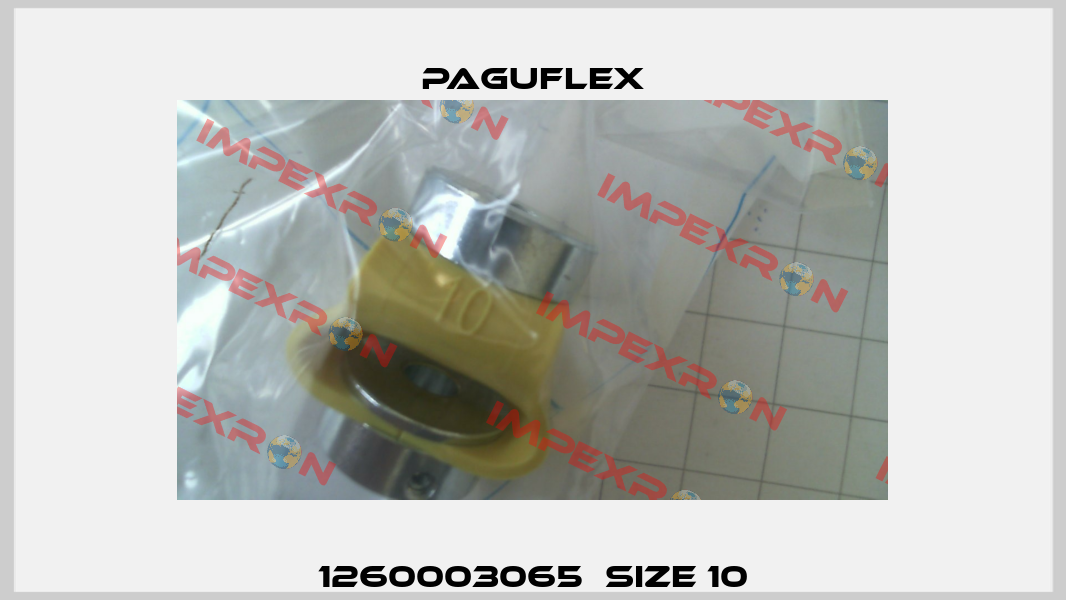 1260003065  size 10 Paguflex
