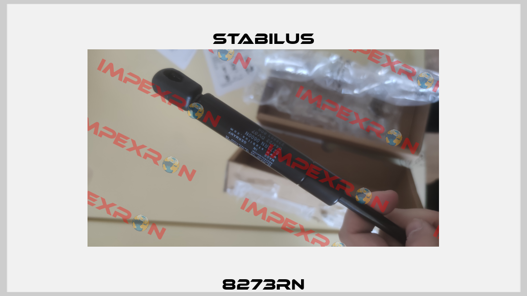 8273RN Stabilus
