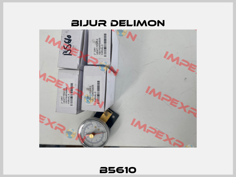 B5610 Bijur Delimon