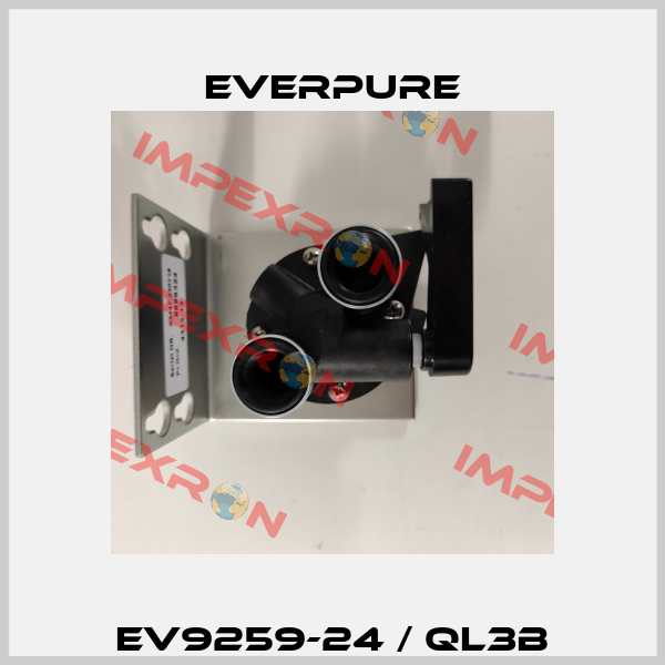 EV9259-24 / QL3B Everpure