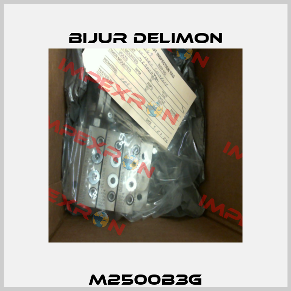 M2500B3G Bijur Delimon
