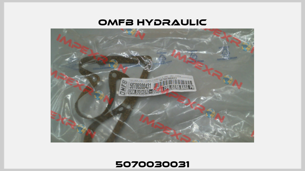 5070030031 OMFB Hydraulic