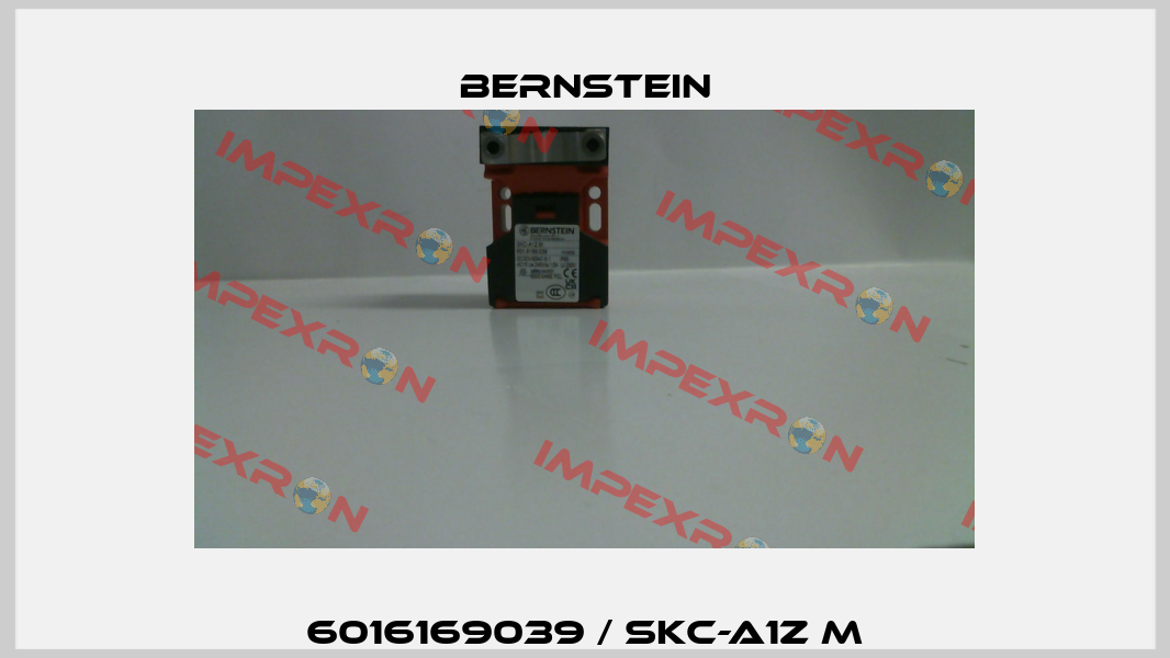 6016169039 / SKC-A1Z M Bernstein