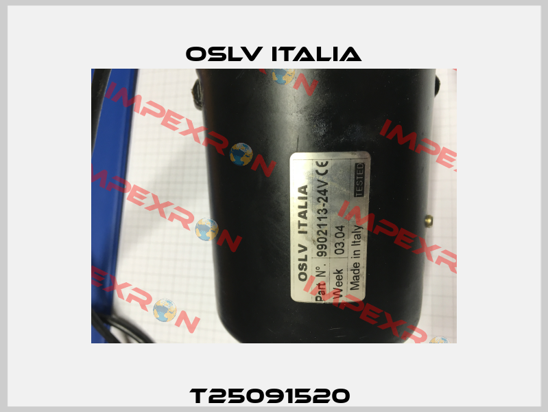 T25091520  OSLV Italia