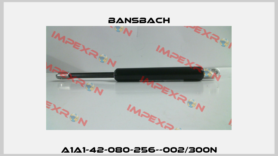 A1A1-42-080-256--002/300N Bansbach