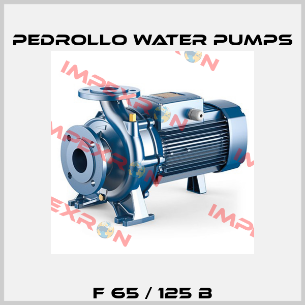 F 65 / 125 B Pedrollo Water Pumps