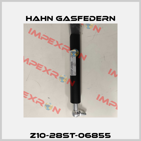 Z10-28ST-06855 Hahn Gasfedern