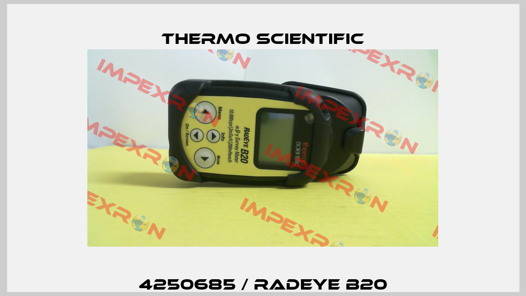 4250685 / RadEye B20 Thermo Scientific