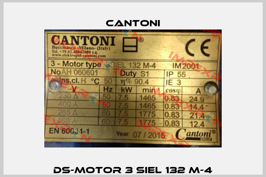 DS-Motor 3 SIEL 132 M-4 Cantoni