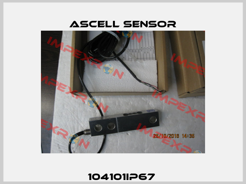 104101IP67  Ascell Sensor