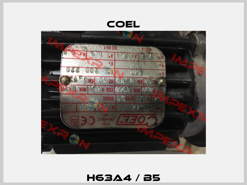H63A4 / B5 Coel