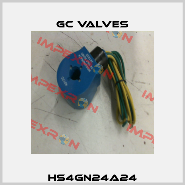 HS4GN24A24 GC Valves