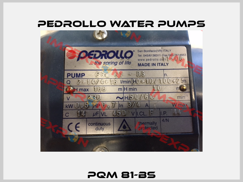 PQm 81-Bs Pedrollo Water Pumps