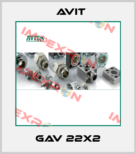 Gav 22x2 Avit