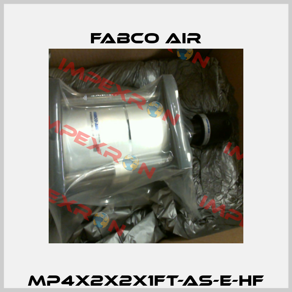 MP4X2X2X1FT-AS-E-HF Fabco Air