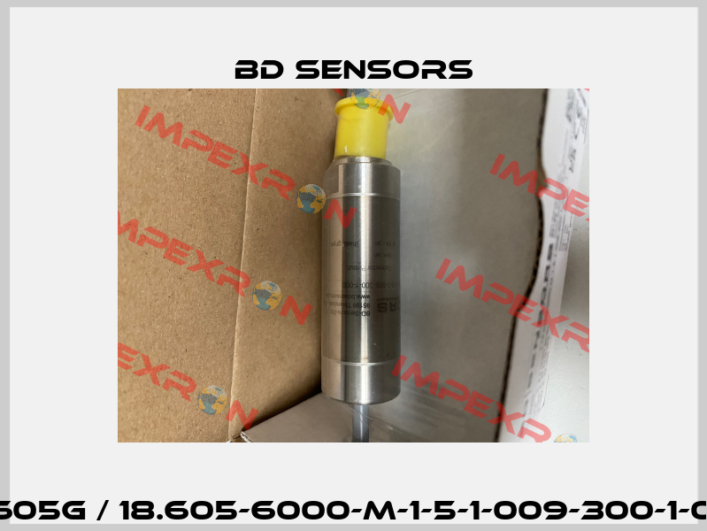 18.605G / 18.605-6000-M-1-5-1-009-300-1-000 Bd Sensors