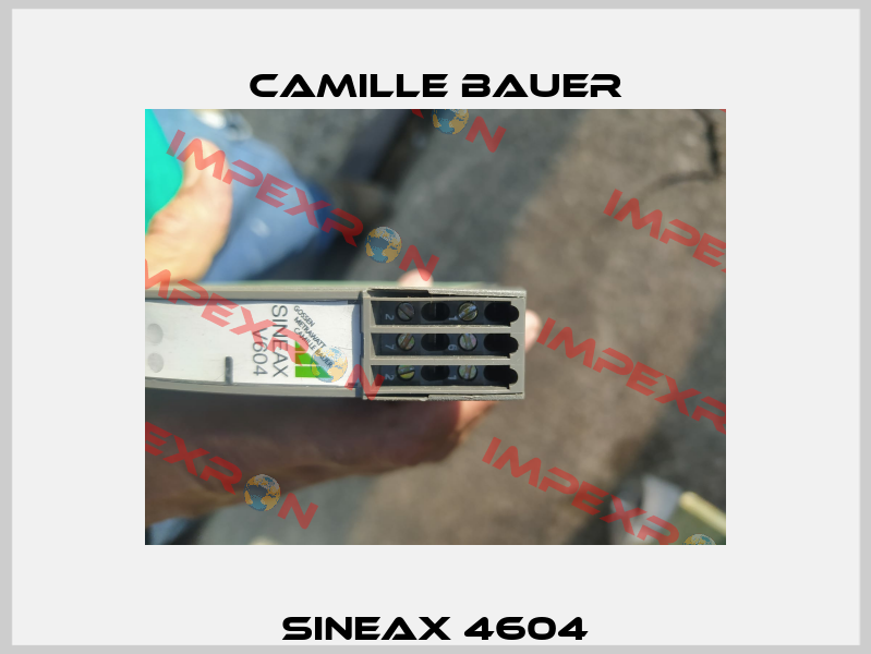 Sıneax 4604 Camille Bauer